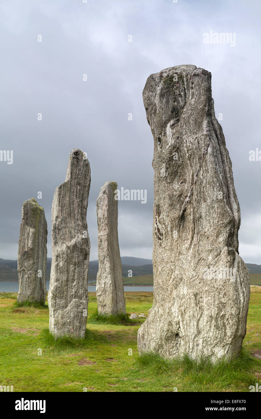 Gneiss Lewisian Callanish standing stones Isle Of Lewis, Scotland Banque D'Images