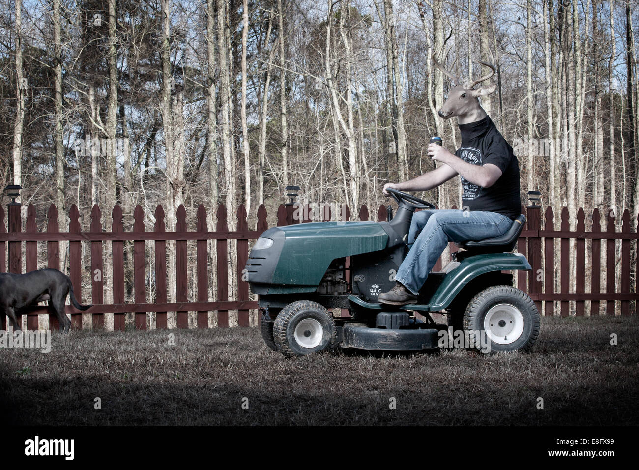 Riding lawnmower Banque de photographies et d'images à haute résolution -  Alamy