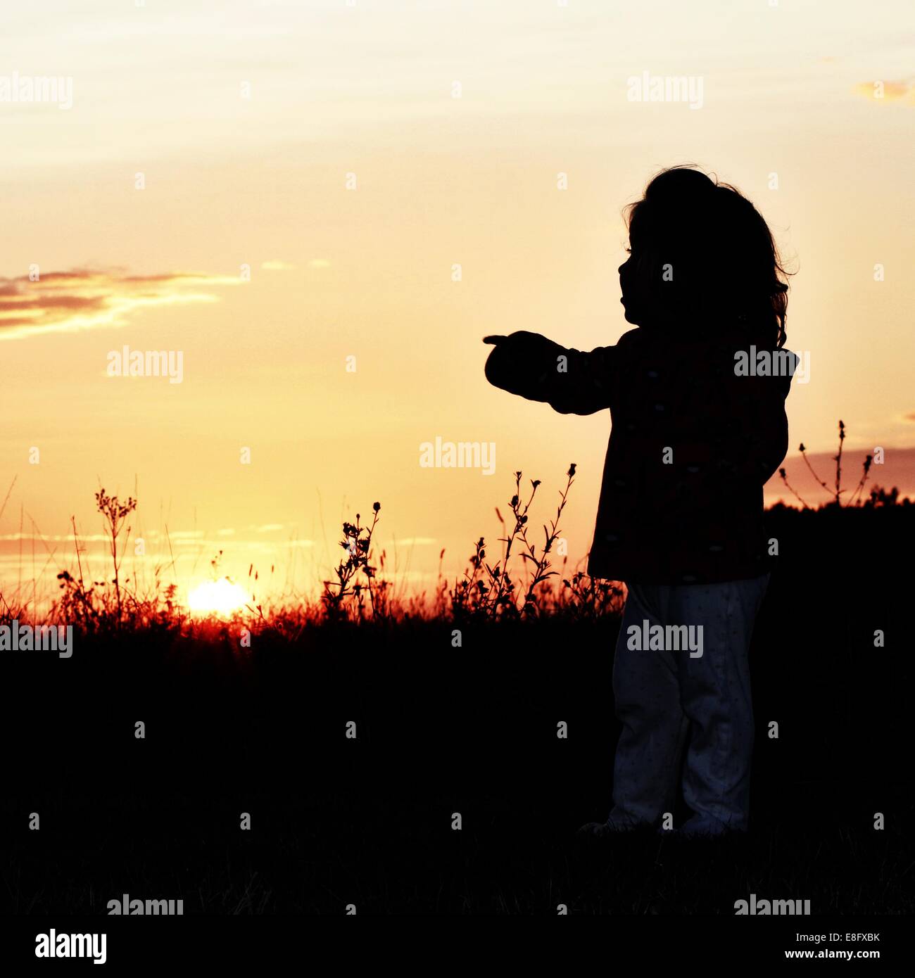 Silhouette de jeune fille debout dans un champ indiquant Banque D'Images