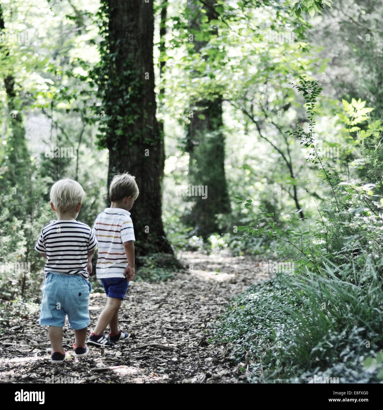 Deux garçons marcher dans les bois Banque D'Images