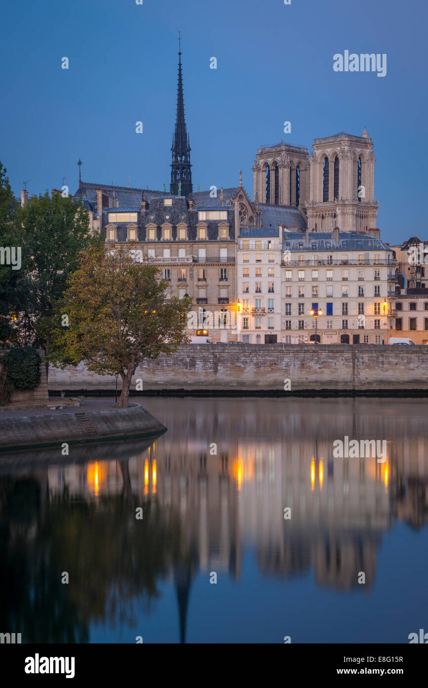 Très calme Seine juste avant l'aube avec l'île de la Cité et la Cathédrale Notre Dame au-delà, Paris, France Banque D'Images