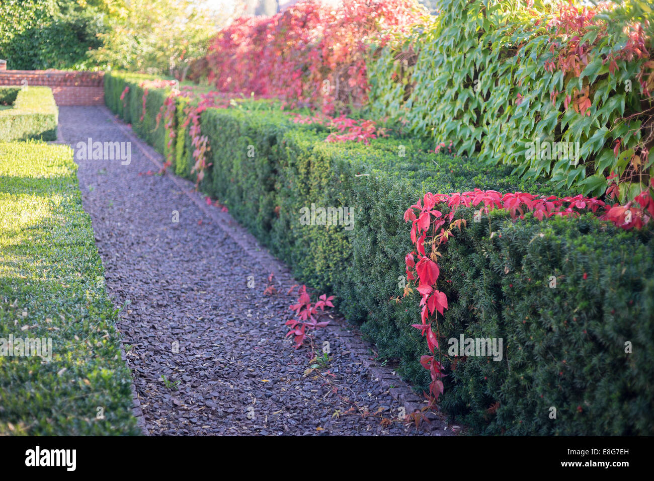 Couverture verte et le réducteur d'automne Banque D'Images