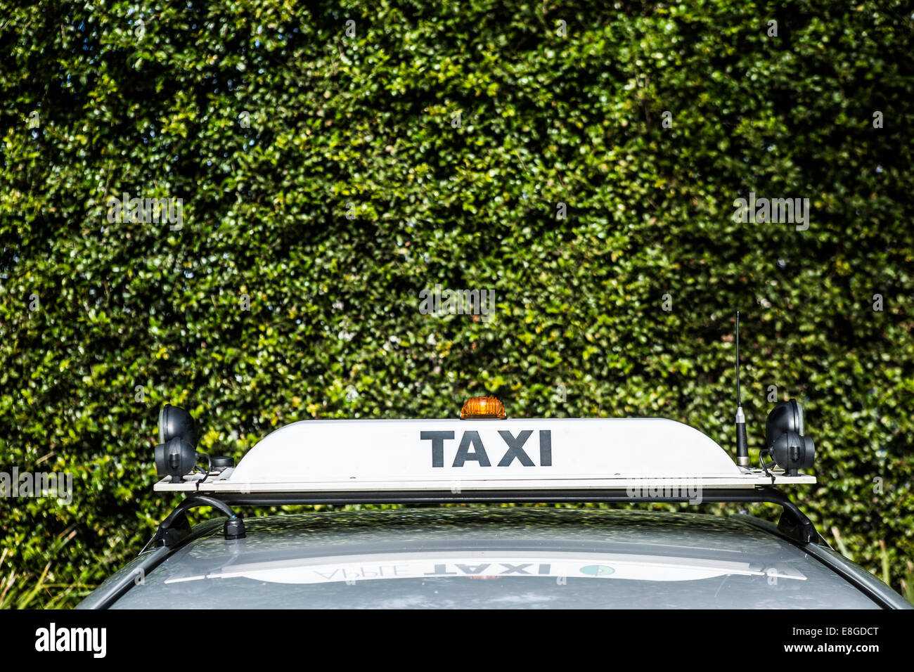 Une enseigne sur un taxi photographié contre une haie vive Banque D'Images