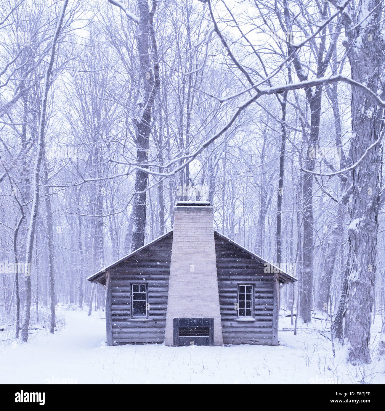 Chalet dans les bois dans la neige Banque D'Images
