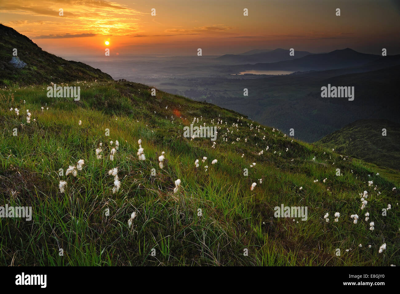 L'Irlande, le comté de Kerry, le lever du soleil vu de Torc Mountain Banque D'Images