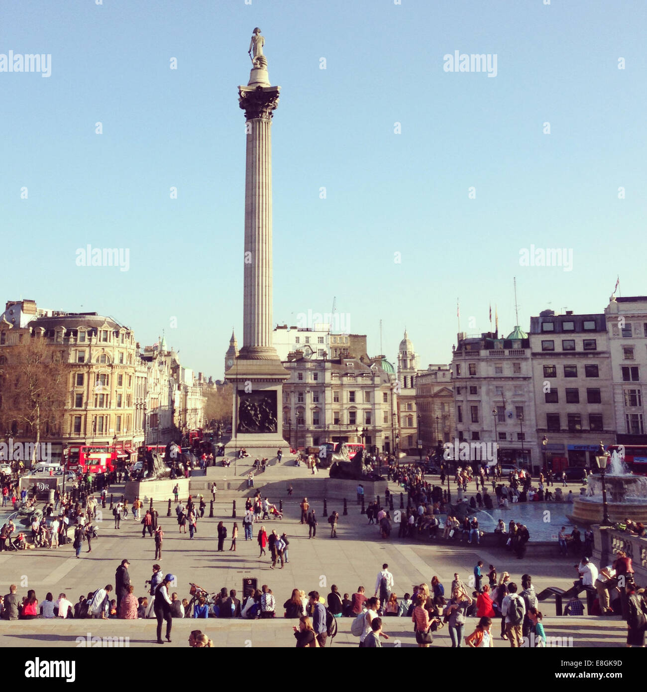 Royaume-uni, Londres, colonne de Trafalgar Square Banque D'Images