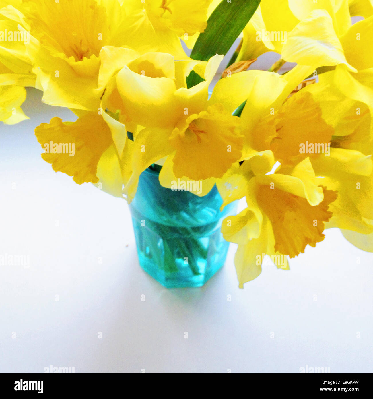 Bouquet de jonquilles en vase bleu Banque D'Images