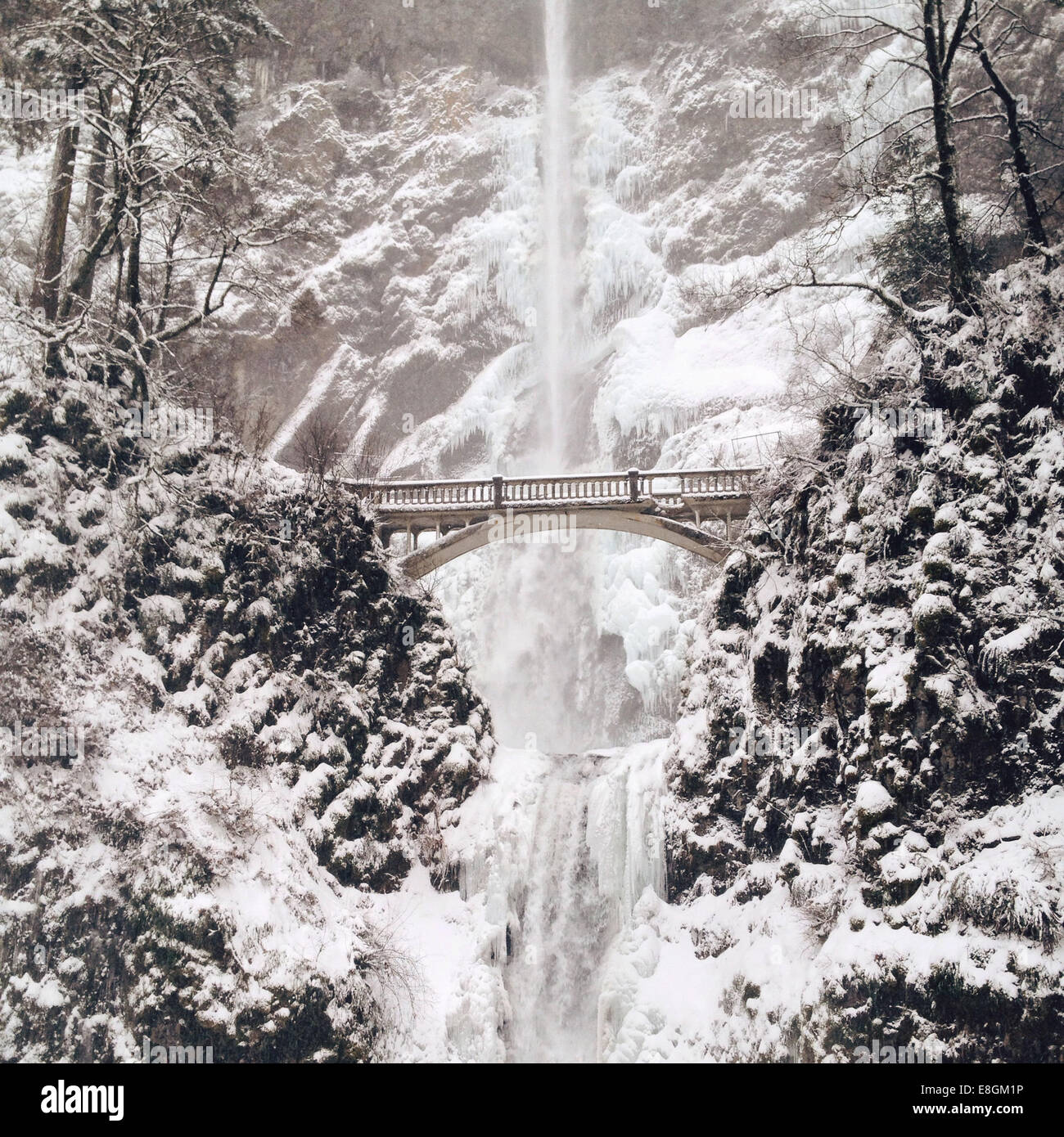 Chute d'eau gelée en hiver, États-Unis Banque D'Images