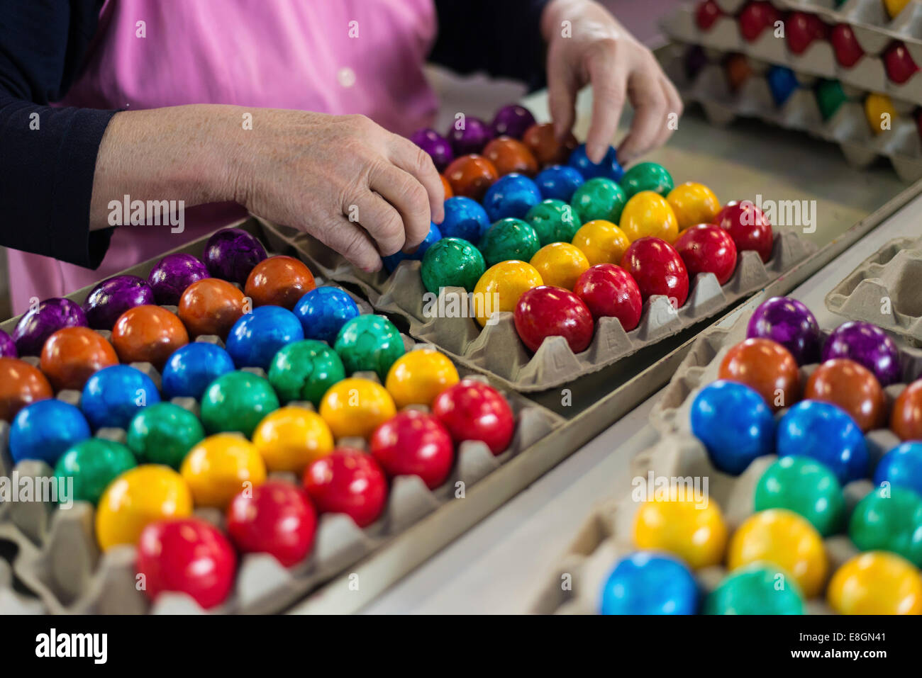 Ouvrier pendant le contrôle de la qualité des oeufs de Pâques teints colorés, Beham, entreprise de teinture d'oeuf Thannhausen, Bayern, Allemagne Banque D'Images