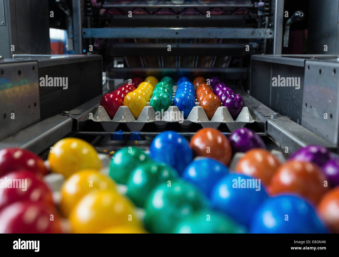 Les œufs de Pâques colorés sur une courroie de convoyeur, Beham, entreprise de teinture d'oeuf Thannhausen, Bayern, Allemagne Banque D'Images