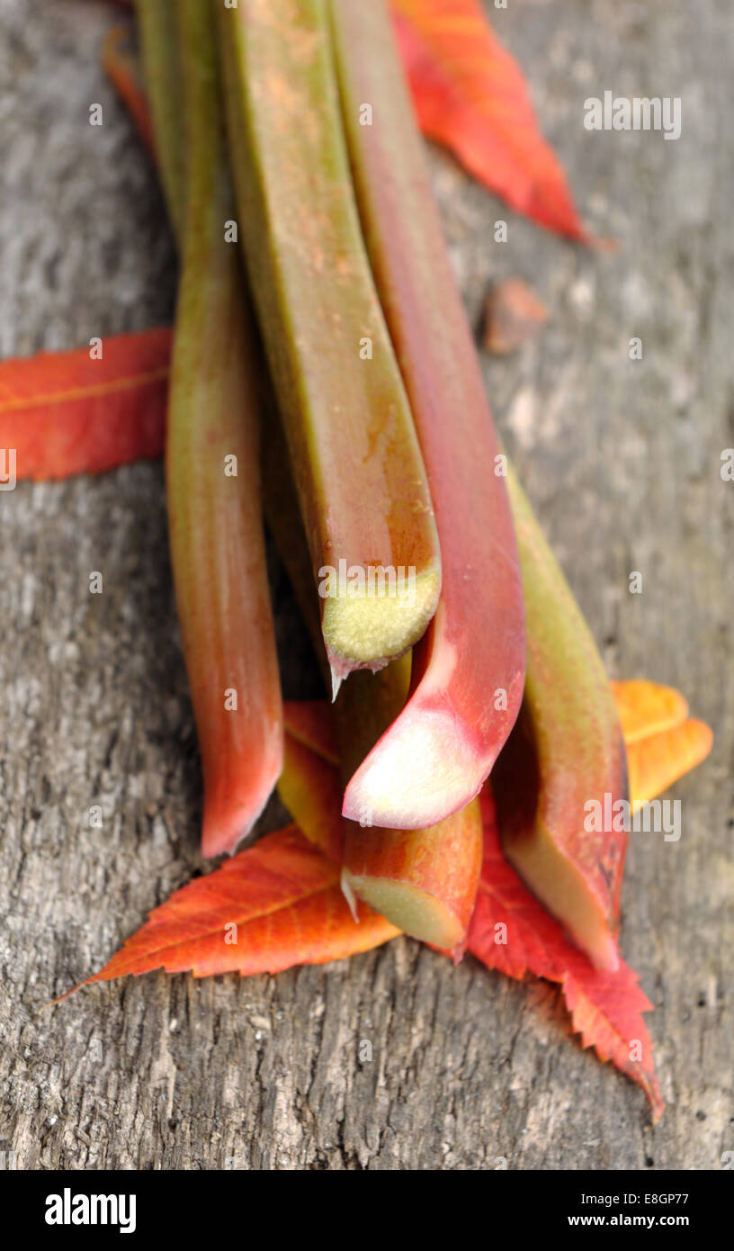La rhubarbe avec feuilles rouges sur une vieille planche de bois Banque D'Images