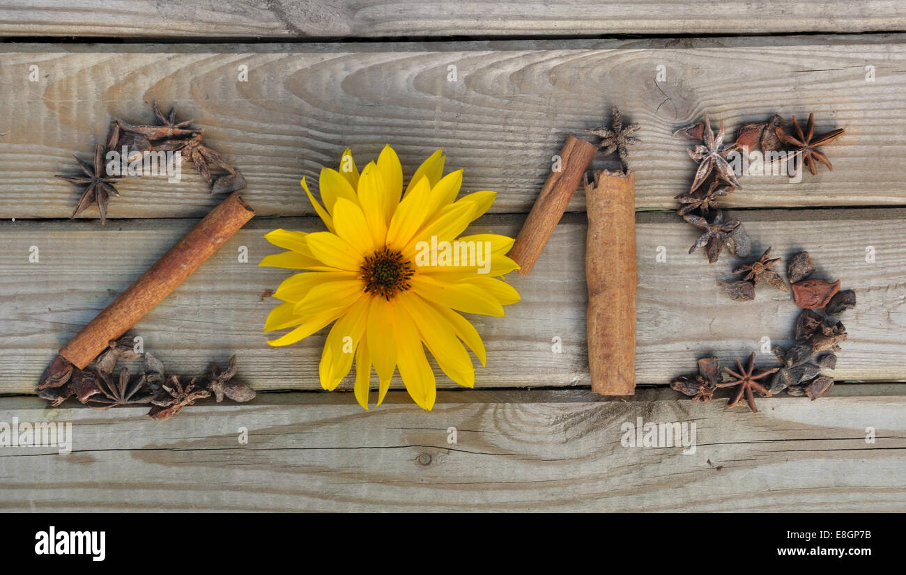 2015 dessiné avec des épices et une fleur sur fond de bois Banque D'Images