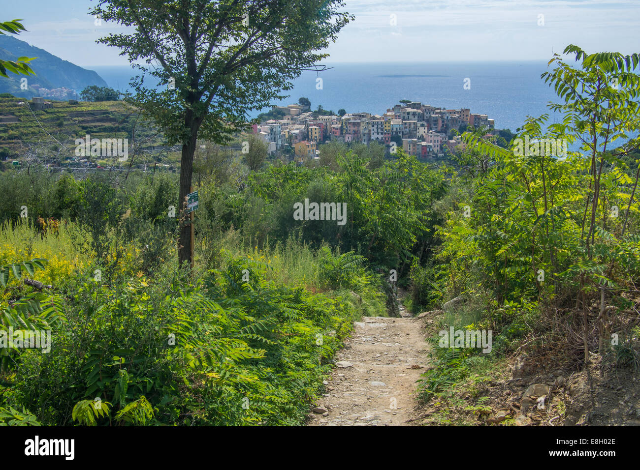 Approche de la falaise ville de Corniglia sur le chemin côtier de Vernazza, Cinque Terre, région de Ligurie, Italie. Banque D'Images