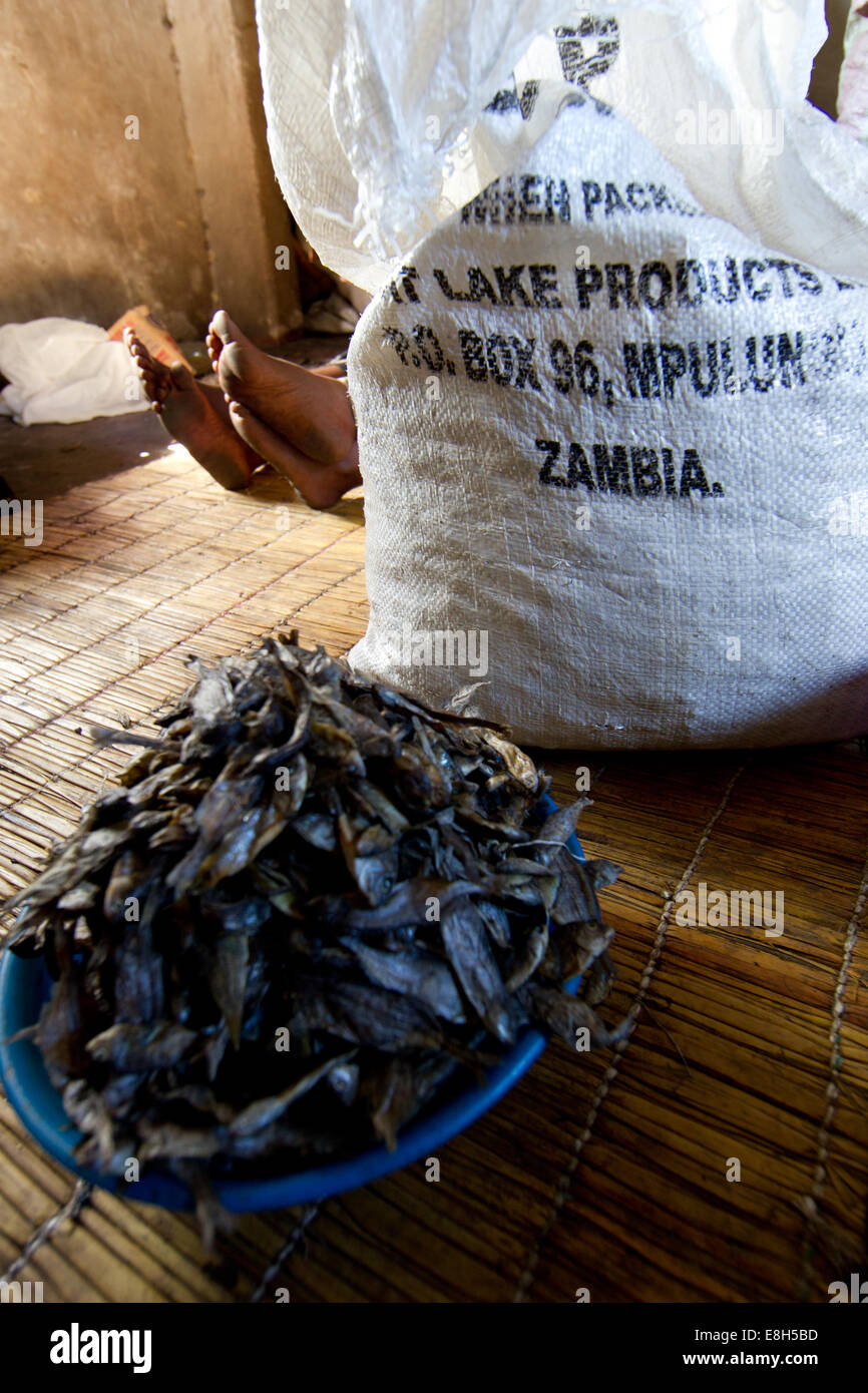 Le poisson séché est un produit important pris par les pêcheurs de bangweulu durable des zones humides, la Zambie Banque D'Images