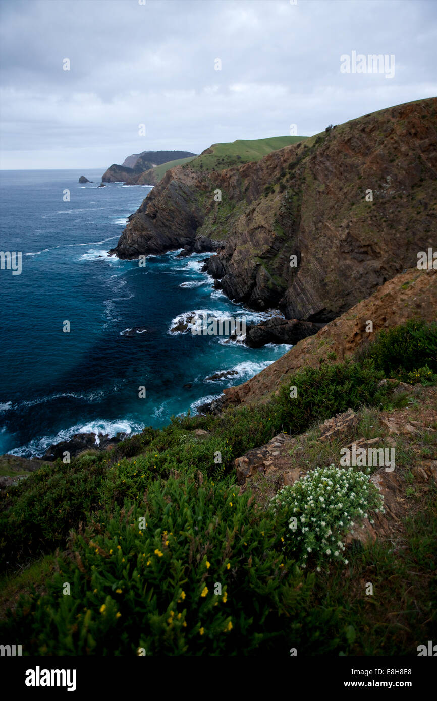 Le long des falaises de Snug Cove, l'île kangourou en Australie Banque D'Images
