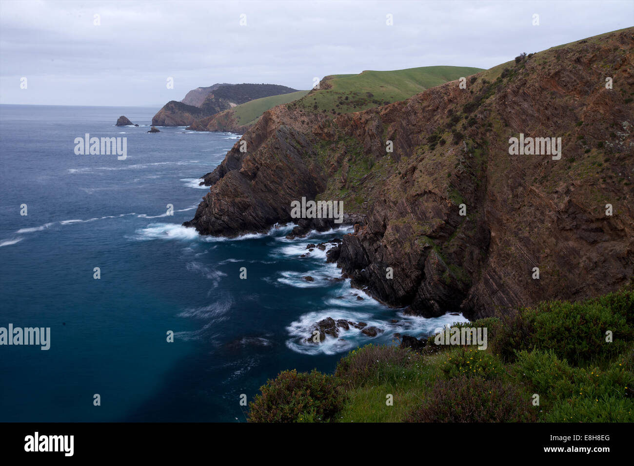 Le long des falaises de Snug Cove, l'île kangourou en Australie Banque D'Images