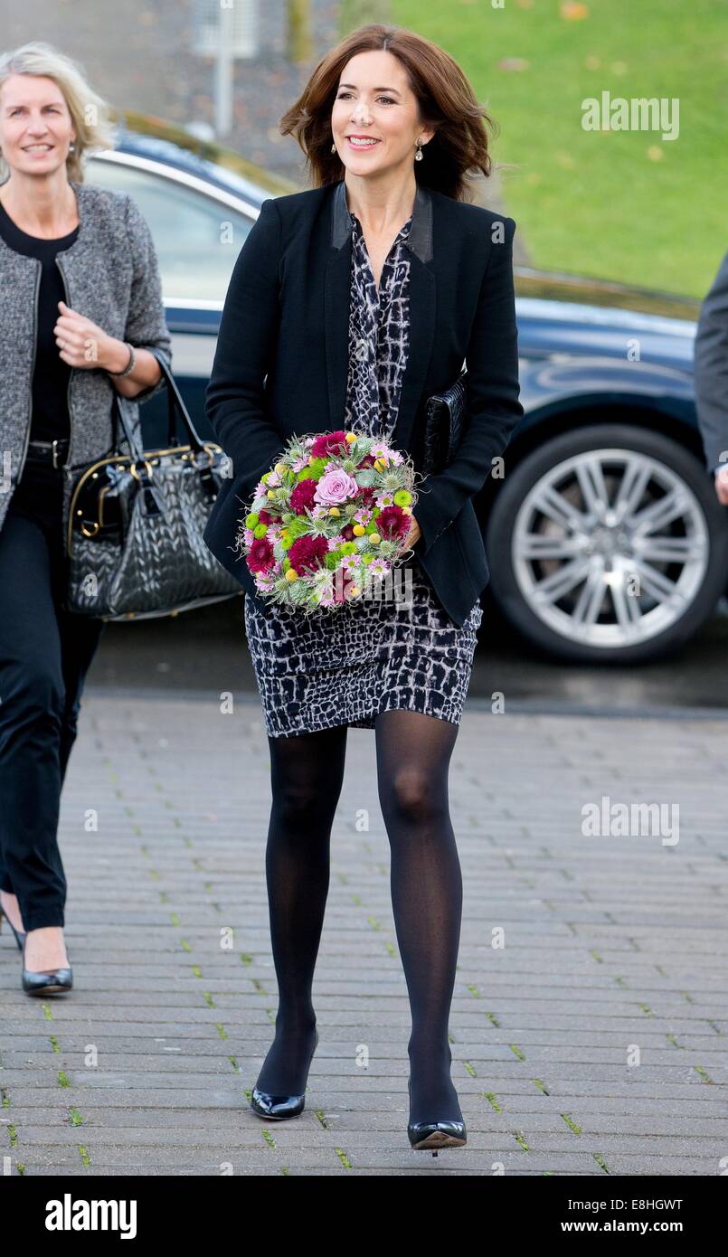 Odense, Danemark. 8 octobre, 2014. La princesse Mary de Danemark visite le Handelsgymnasium Tietgen pour le projet "Netwerk' à Odense, Danemark, 8 octobre 2014. Dpa : Crédit photo alliance/Alamy Live News Banque D'Images