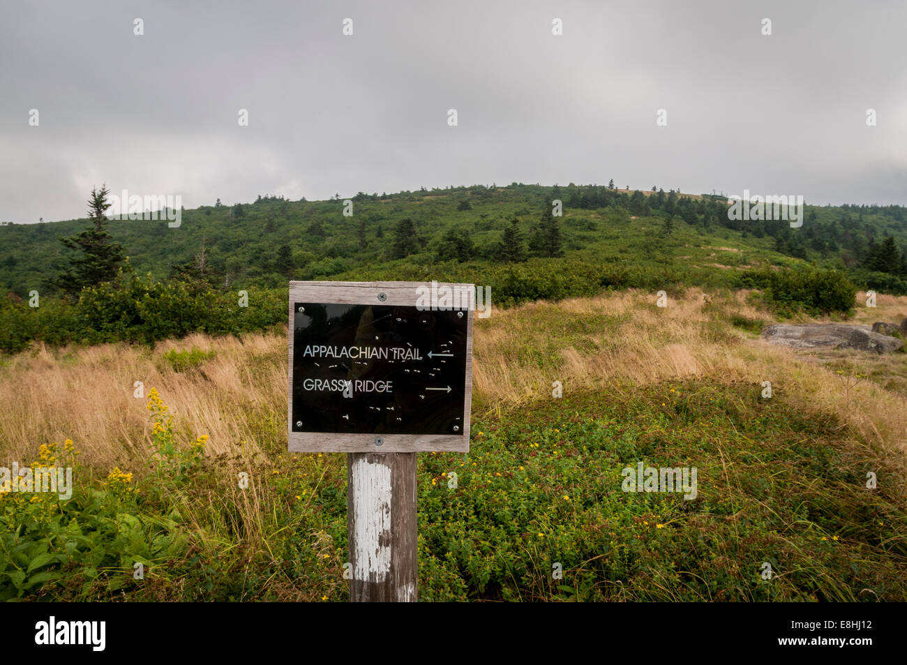 Inscrivez-sentier montrant la voie à Grassy Ridge et le sentier des Appalaches sur Roan Mountain, North Carolina, USA. Banque D'Images