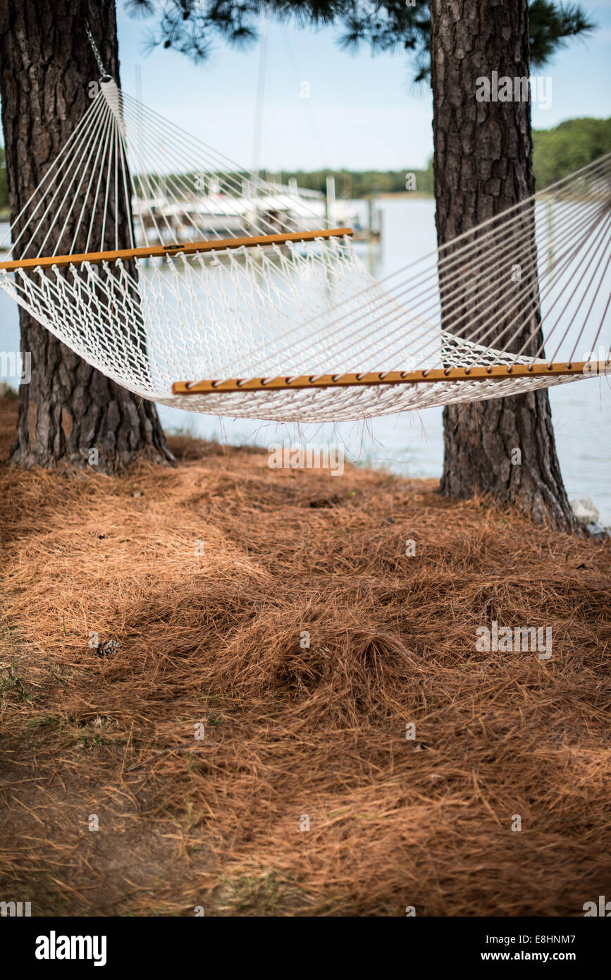 Un hamac suspendus entre les arbres sur la ligne de flottaison du Maryland Eastern Shore. Banque D'Images