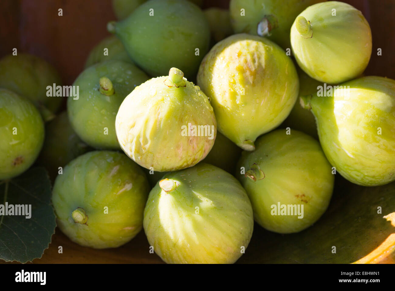 Figues vertes fraîchement cueillies en vert slubbed bol faïence en fin d'après-midi soleil jardin Banque D'Images