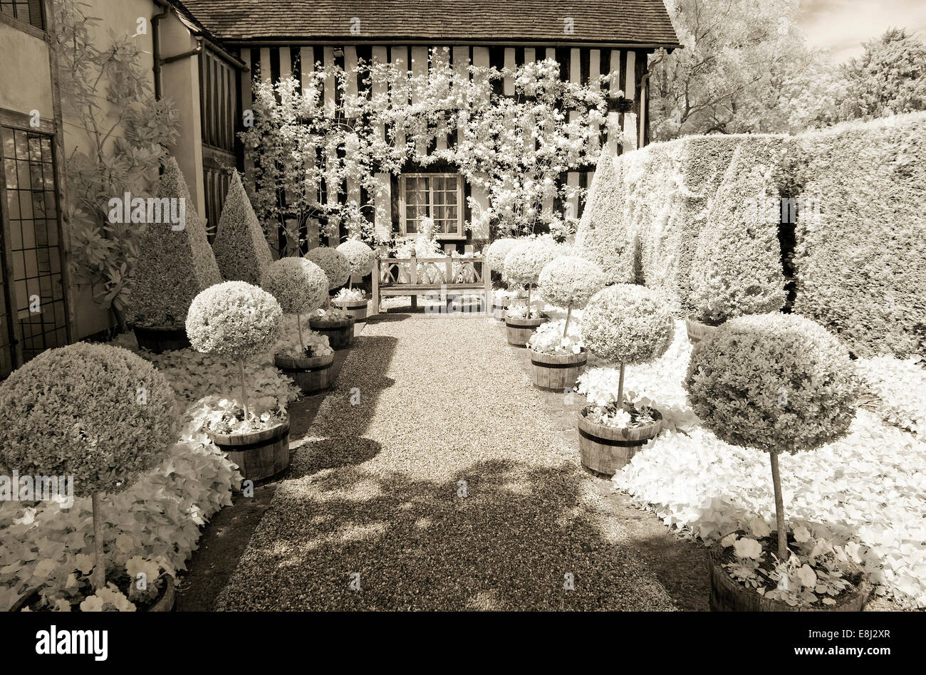 Photographie infrarouge d'un jardin anglais classique, fort des ballons et des pyramides de chaque côté du chemin de gravier, avec banc en bois en tant que centre de p Banque D'Images