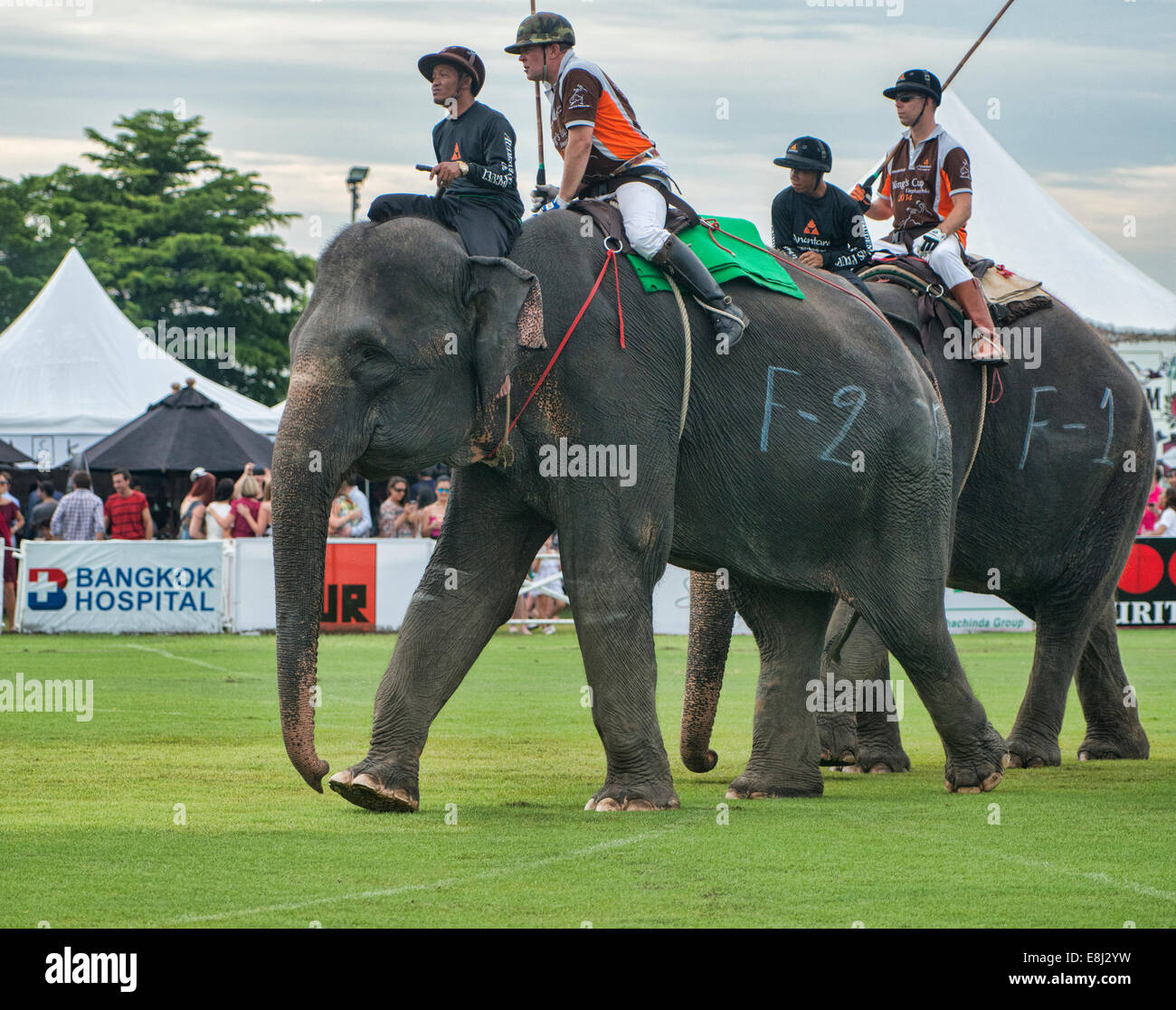 Elephant polo à la King's Cup tournoi de Polo à Bangkok, Thaïlande Photo  Stock - Alamy