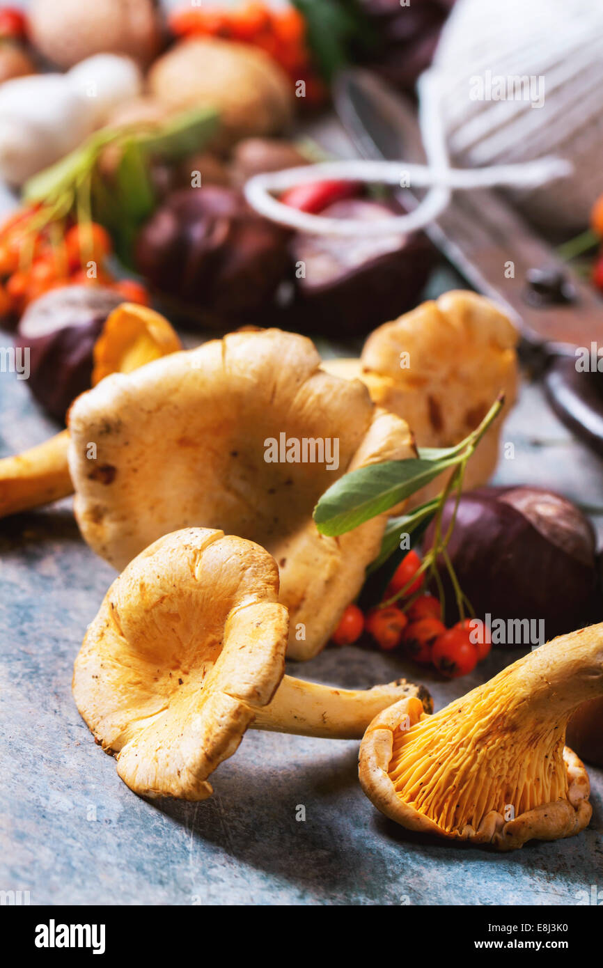 Chanterelles, noix et baies avec vintage ciseaux et fil sur fond de bois. Banque D'Images