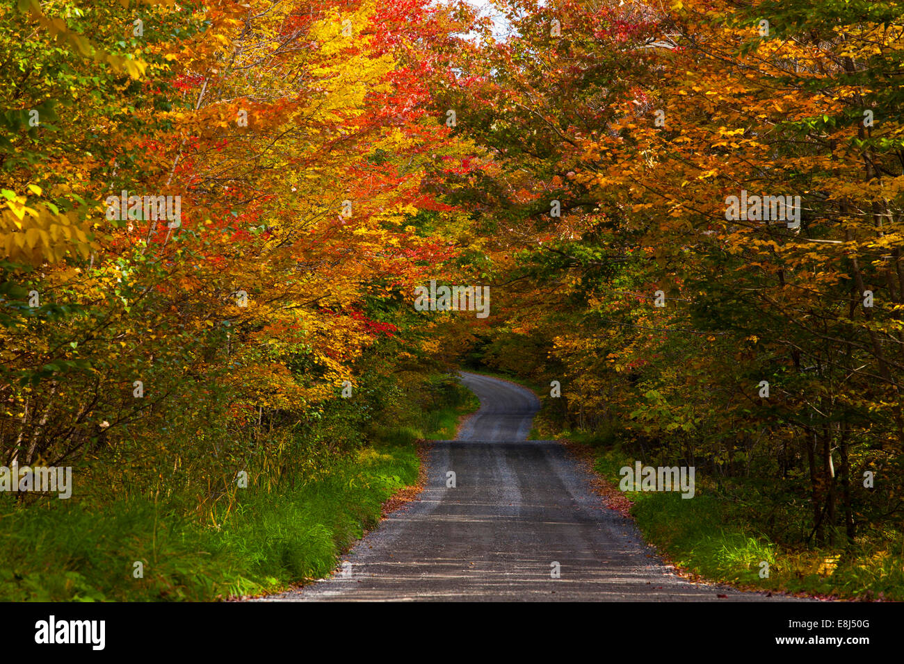 Route de campagne en automne, ville de Lac Brome, Estrie, Québec, Canada Photo Stock Alamy