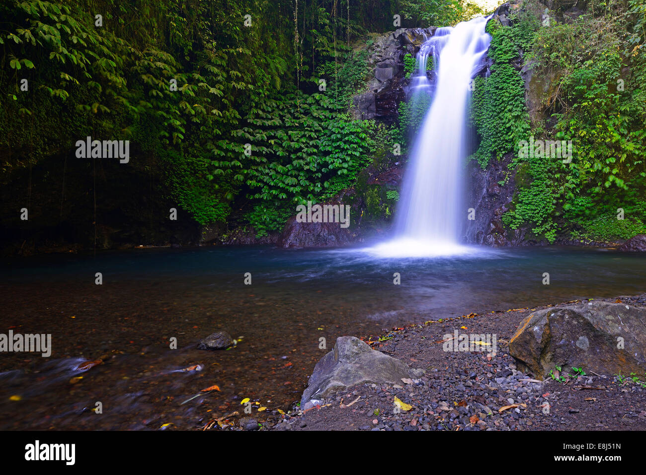 Petite Cascade de Gitgit, Centre de Bali, Bali, Indonésie Banque D'Images