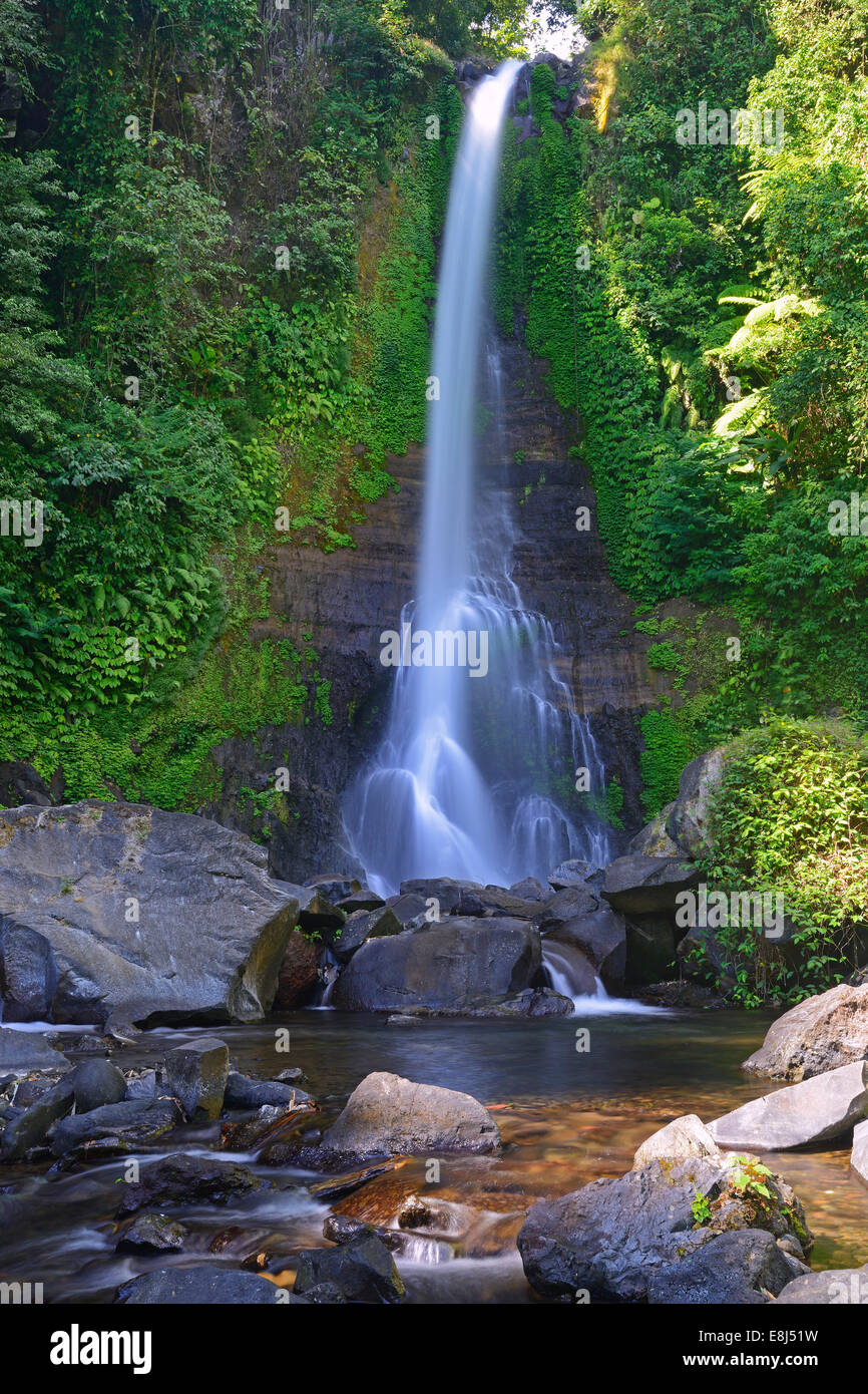 Grande Cascade de Gitgit, Centre de Bali, Bali, Indonésie Banque D'Images