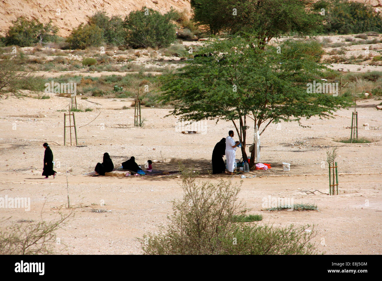 Les sections locales ayant des pique-niques à l'ombre des arbres dans le Wadi Hanifa, près de Riyad, Arabie Saoudite Banque D'Images