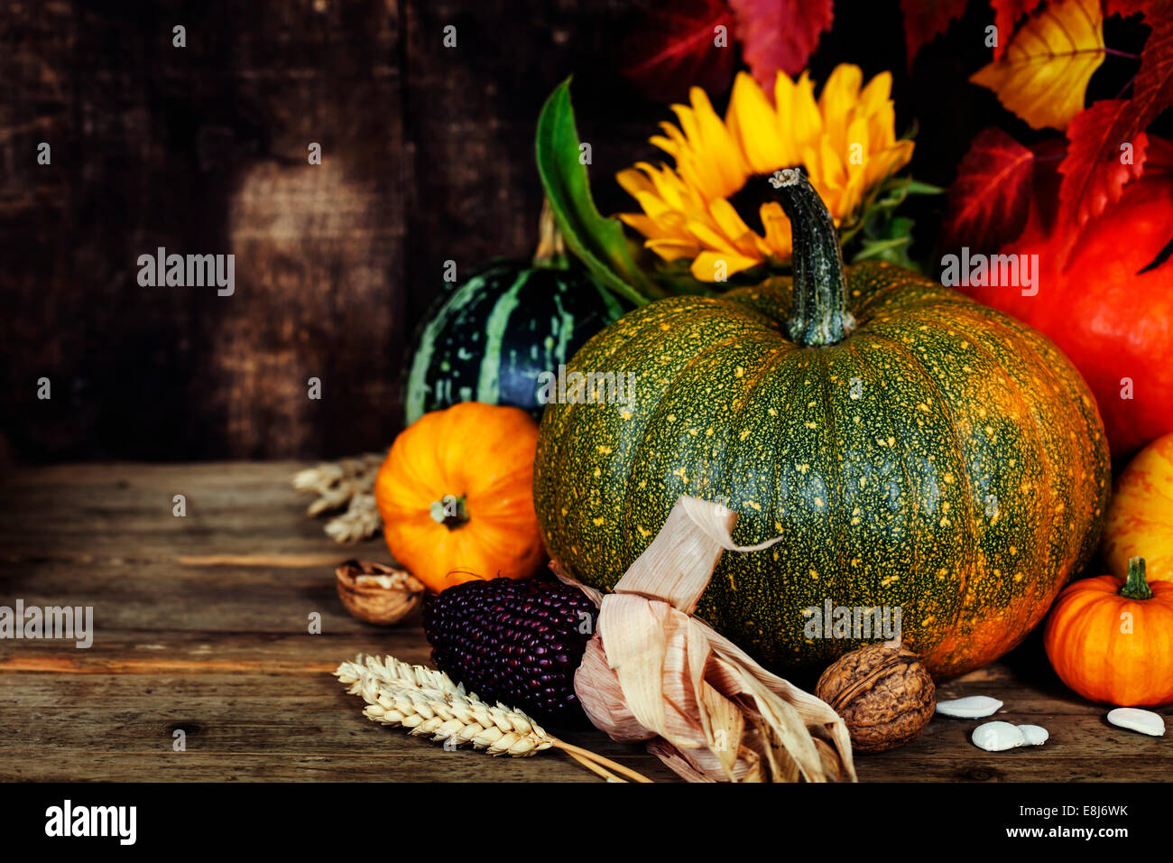 Composition d'automne ( citrouilles et de maïs sur la vieille table en bois). Jour de Thanksgiving concept Banque D'Images