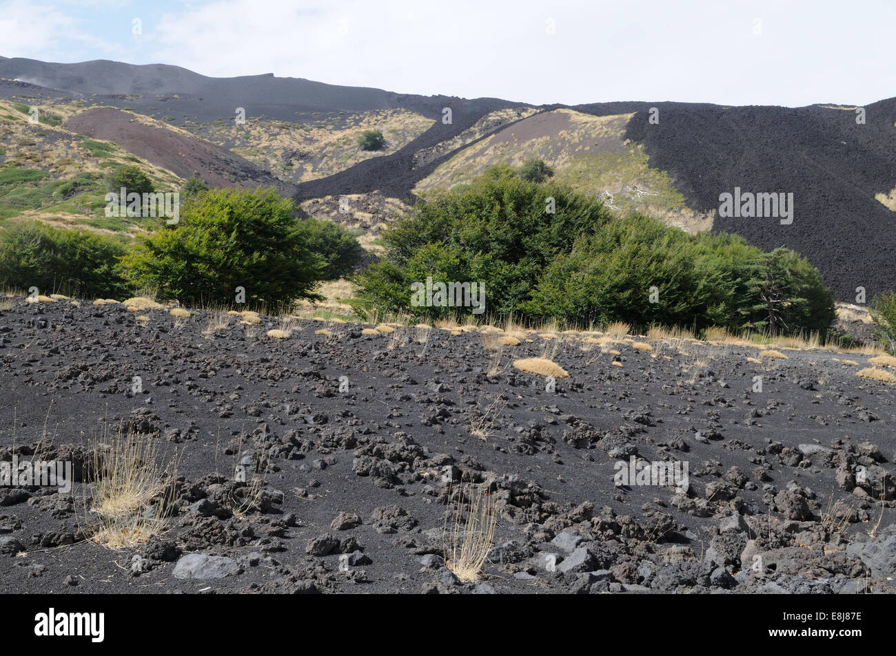 Les dépôts de lave après l'éruption de 2002 du Mont Etna Sicile Italie Banque D'Images