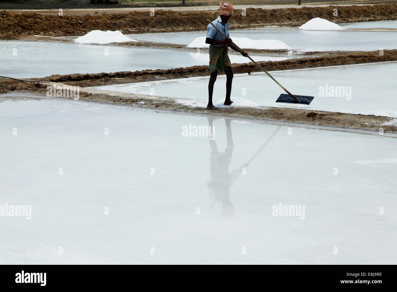 Saltpan près de Rameshwaram. Banque D'Images