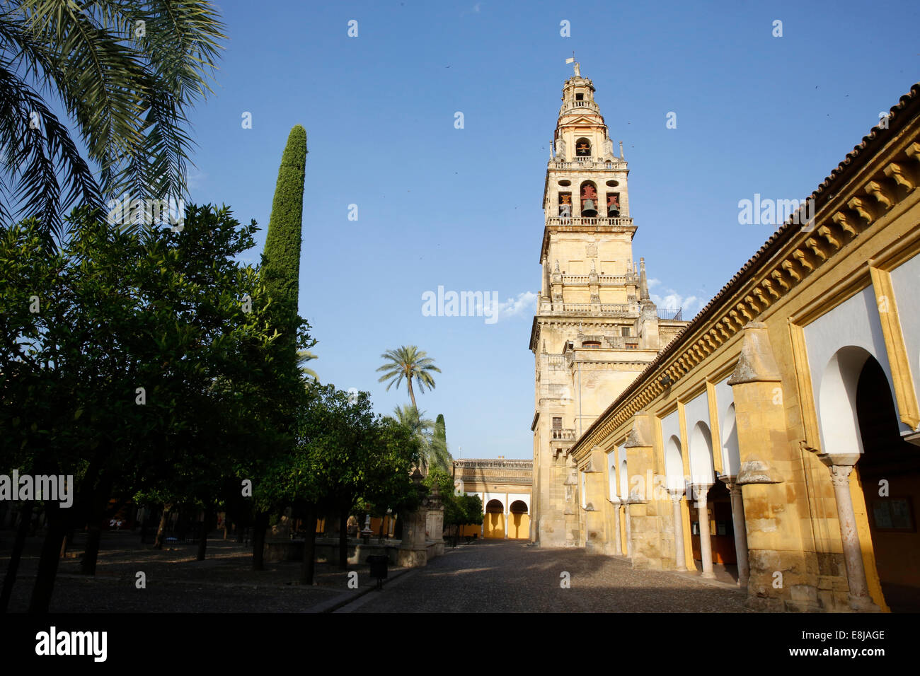 Abd er-Rahman III Minaret, clocher de l'MosqueÐCathedral de C-rdoba, également appelé la Mezquita, et patio de Los Naranjas Banque D'Images