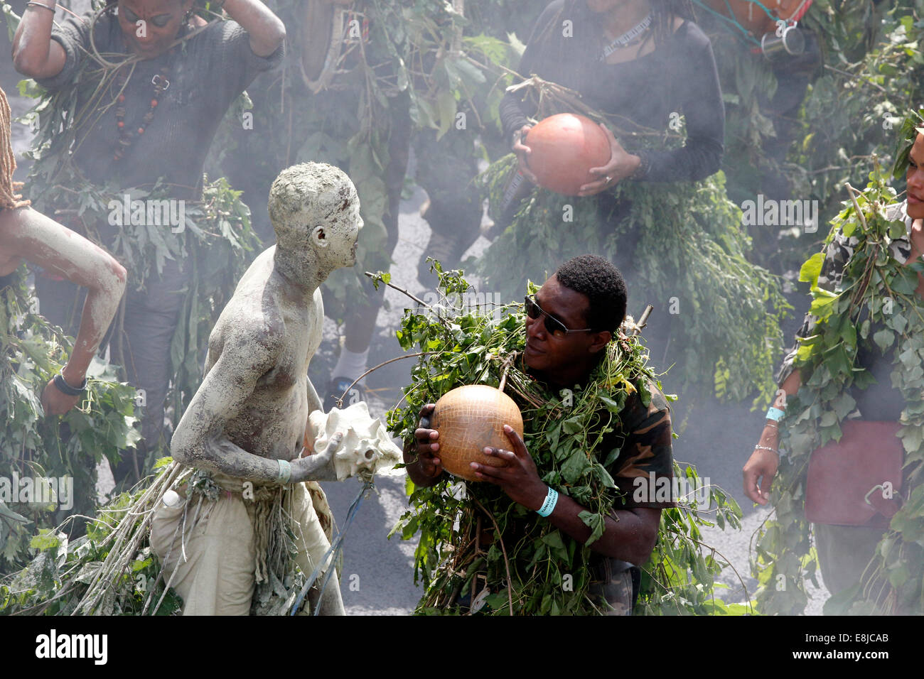 Carnaval tropical de Paris. Banque D'Images