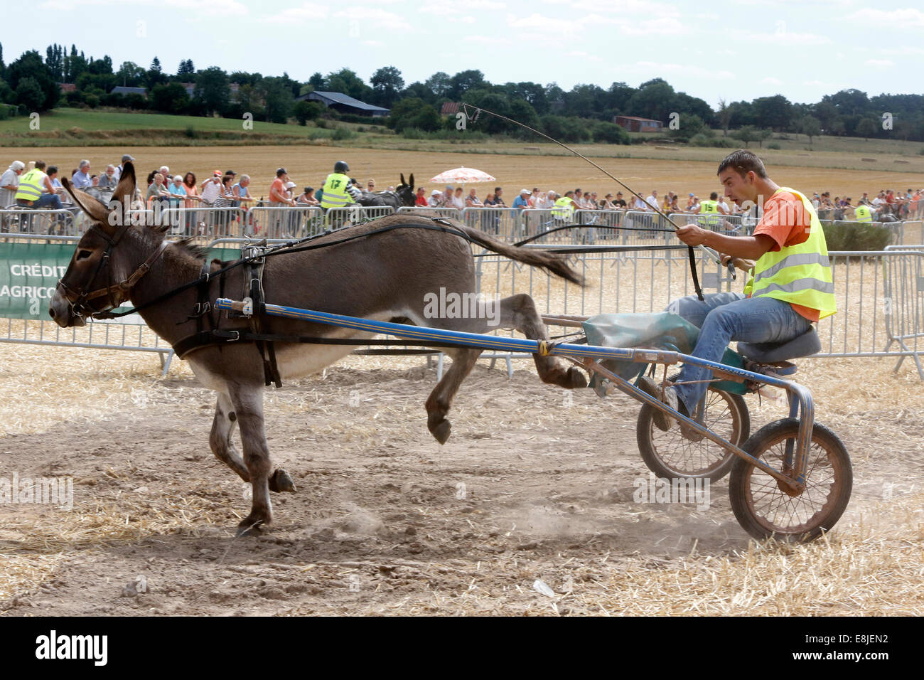 Donkey race Banque de photographies et d’images à haute résolution - Alamy