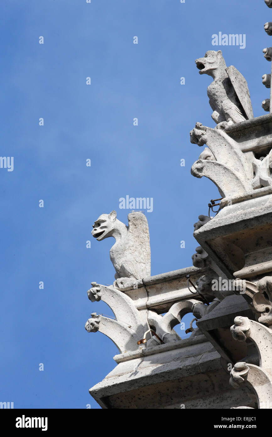 Photos Gargouille Paris, 94 000+ photos de haute qualité gratuites