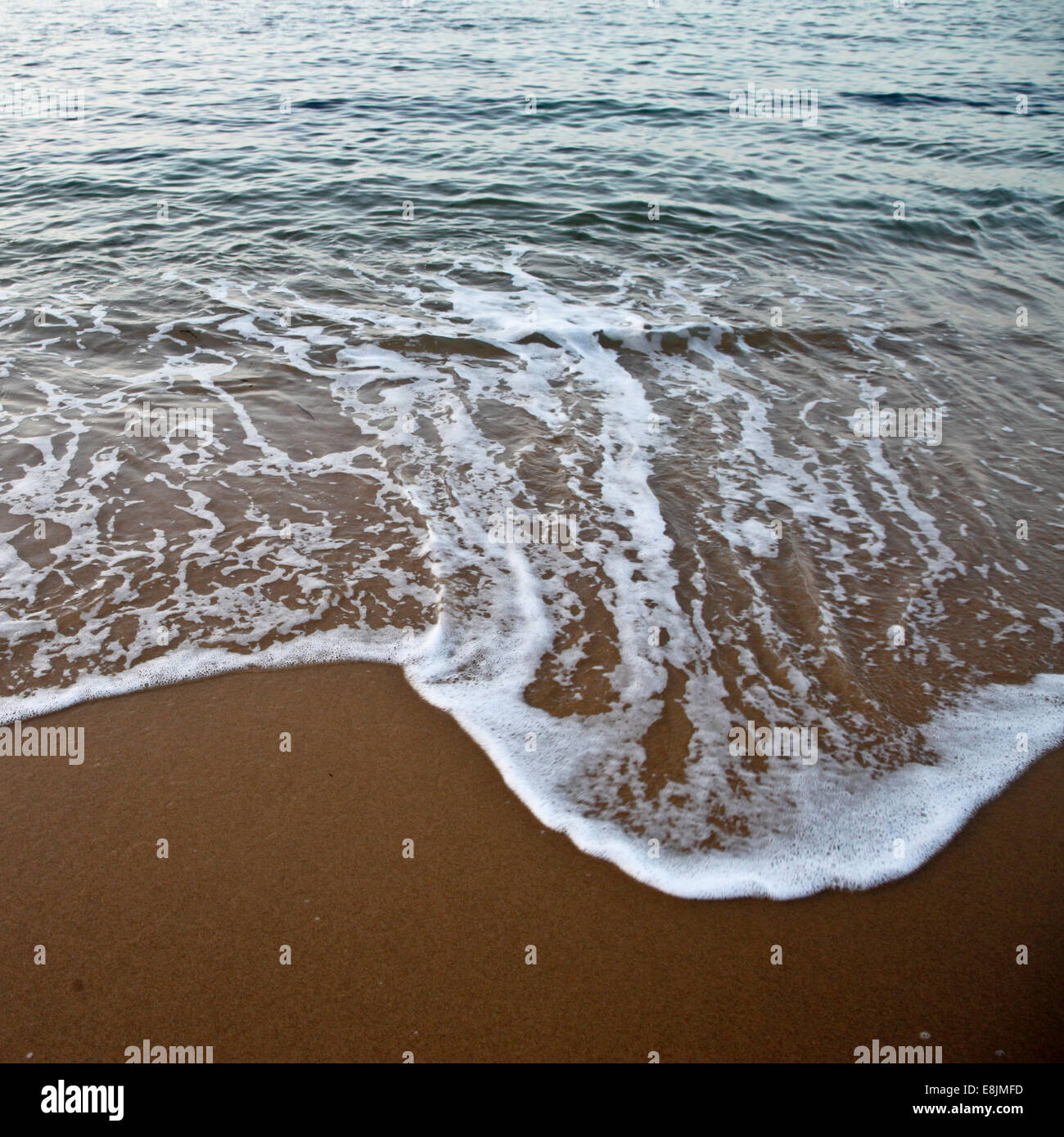 Bord de mer Banque D'Images