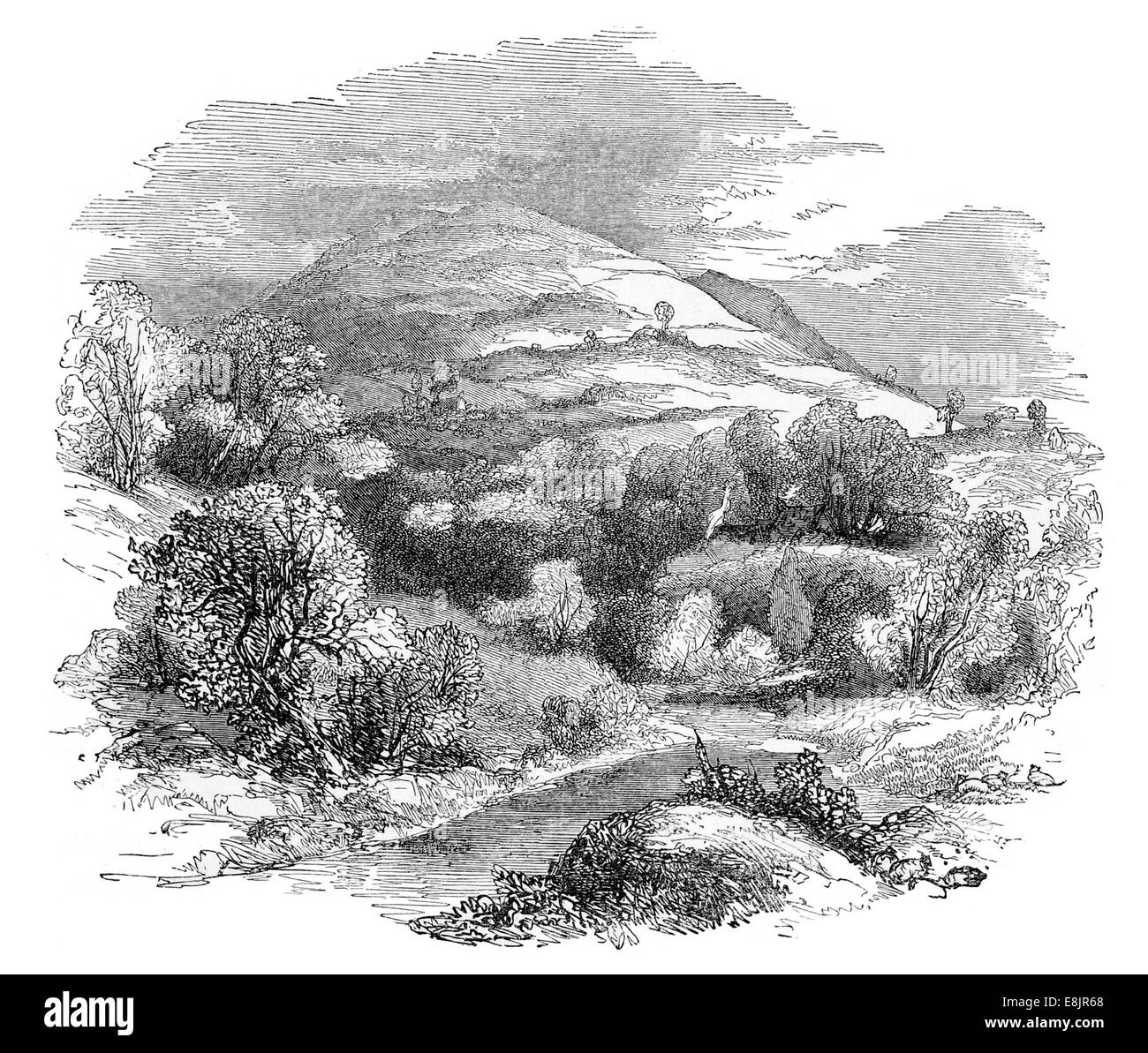 Sur le Ashopton vers 1880 près de Derwent Banque D'Images