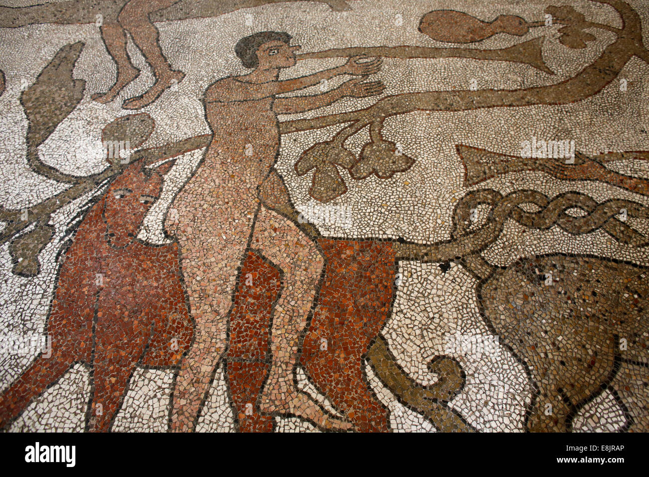 Nef centrale Arbre de Vie sur le sol en mosaïque d'Otrante Duomo (cathédrale) : horse rider Banque D'Images