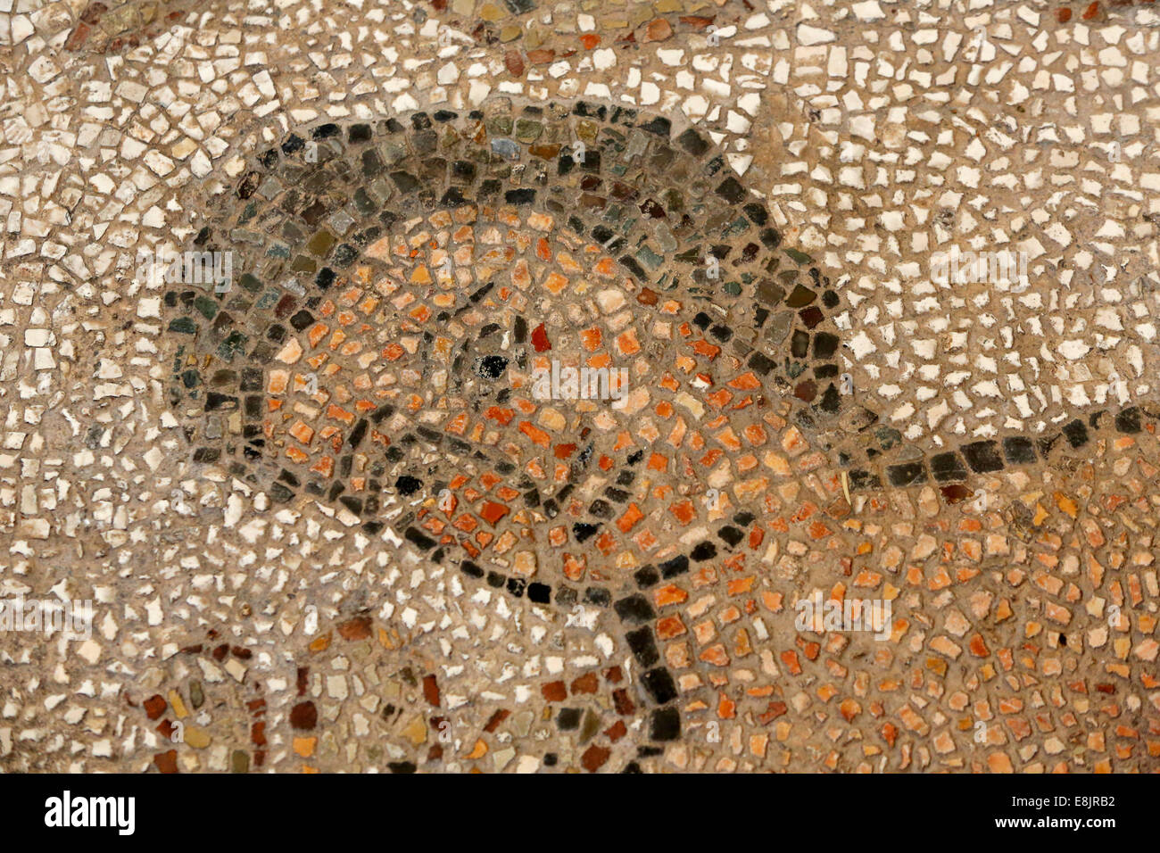 Nef centrale mosaïque sur le plancher d'Otrante Duomo (cathédrale) Banque D'Images