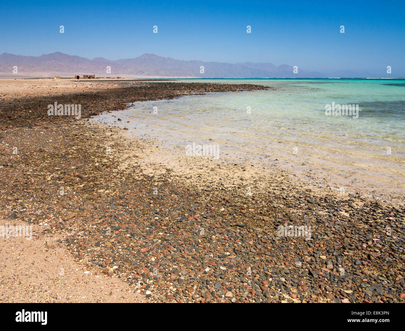 L'Egypte, le Sinaï, Sharm el Sheikh, le Parc National de Nabq, golfe d'Aqaba, le littoral de la Mer Rouge Banque D'Images