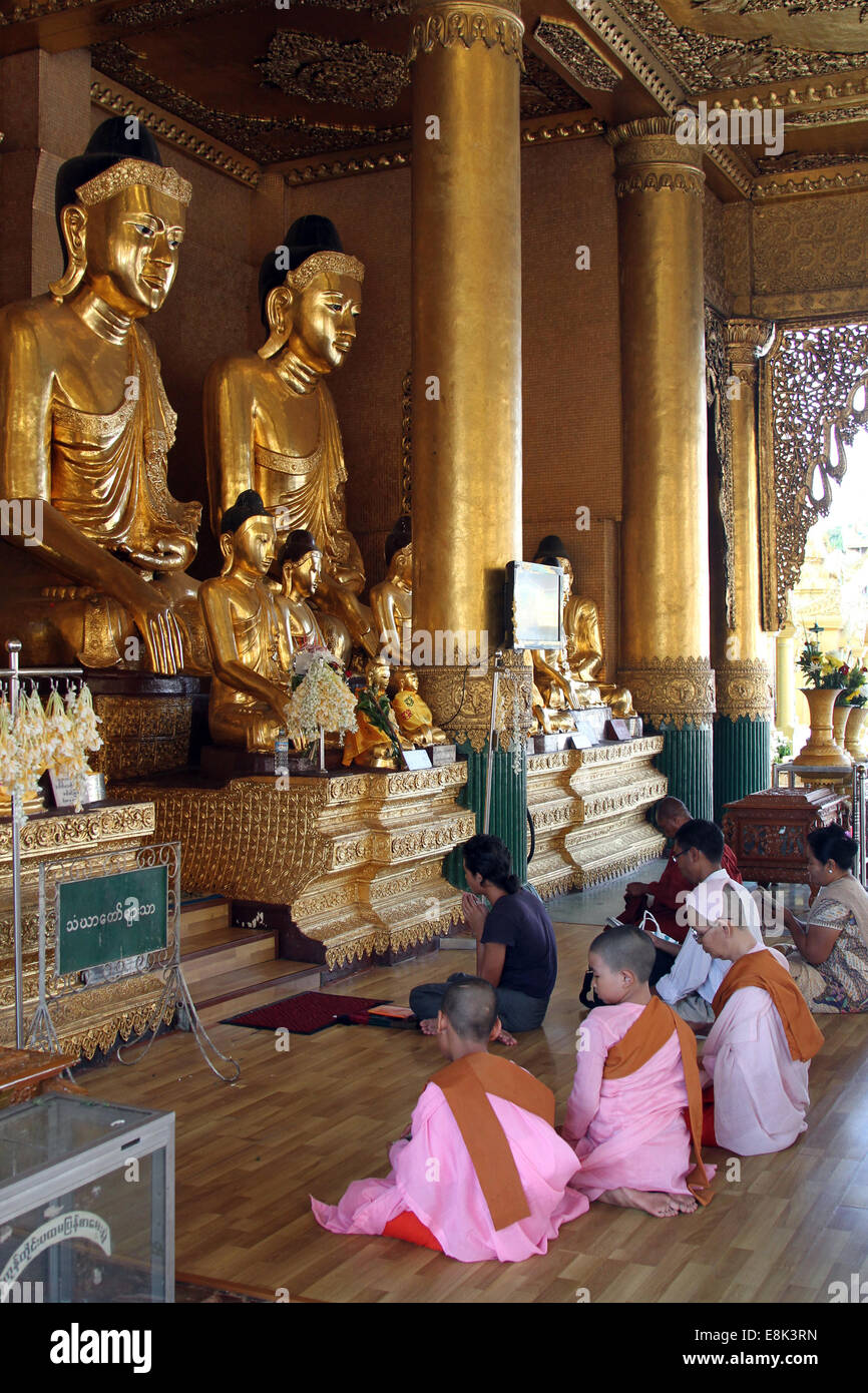 Des religieuses et d'autres prier à la pagode Shwedagon, Rangoon, Birmanie (Myanmar) Banque D'Images