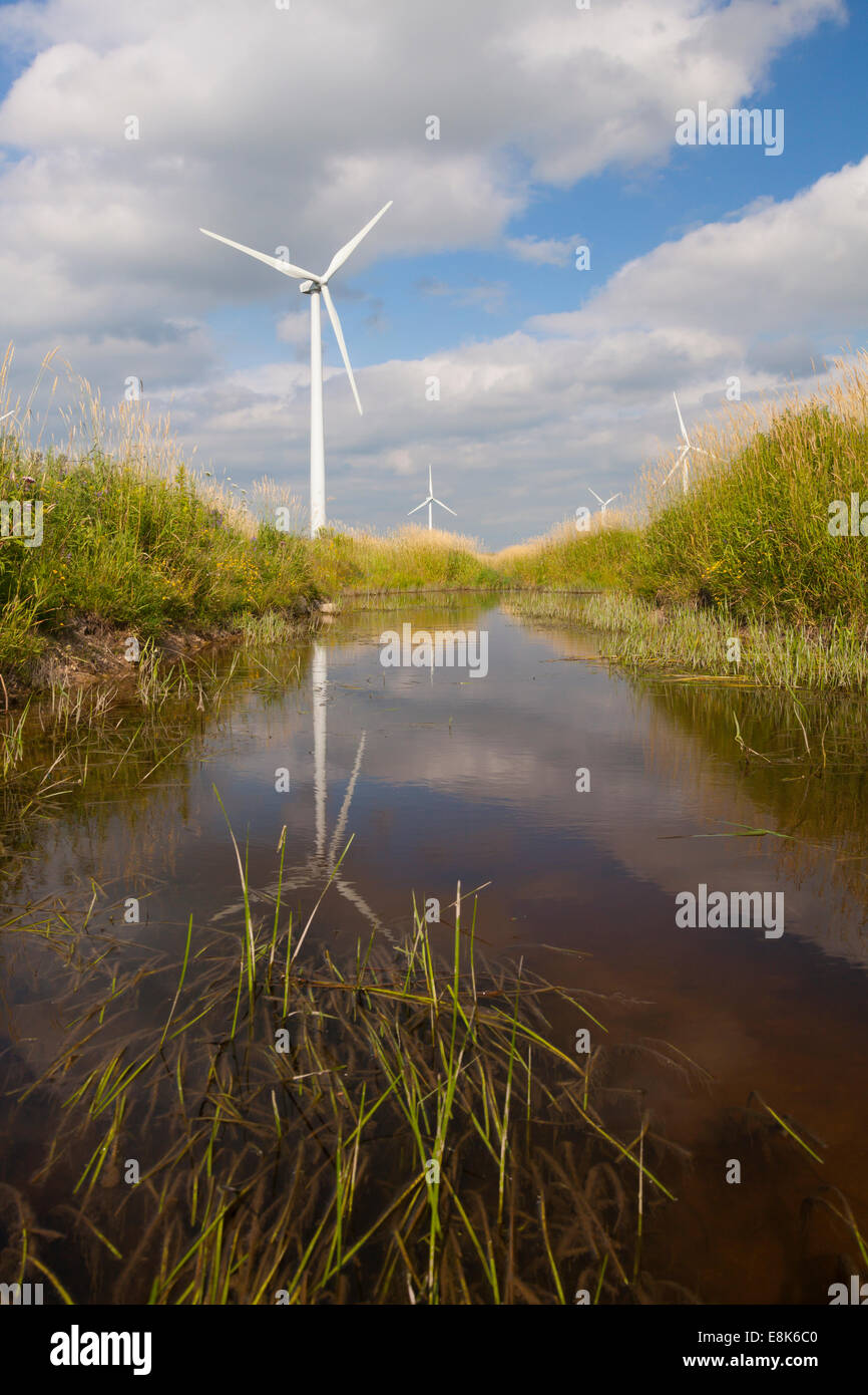 Éoliennes et d'une bordée d'herbe Creek dans le comté de Grey, en Ontario, Canada sur une journée ensoleillée. Banque D'Images