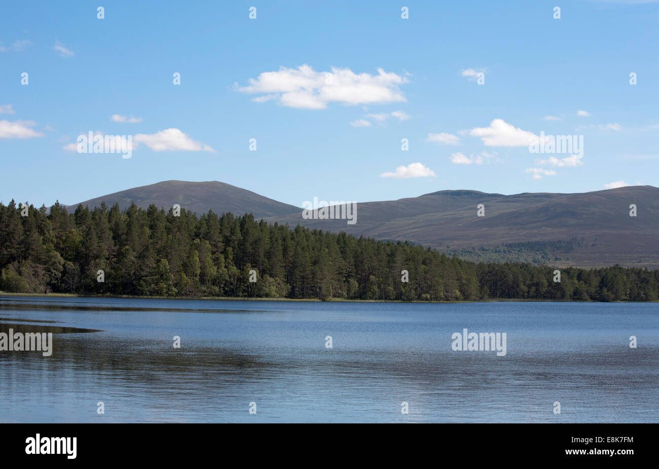 Rivage boisé le Loch Garten Abernethy Forêt entre Grantown et collines de Cromdale Aviemore Highlands Speyside derrière l'Ecosse Banque D'Images