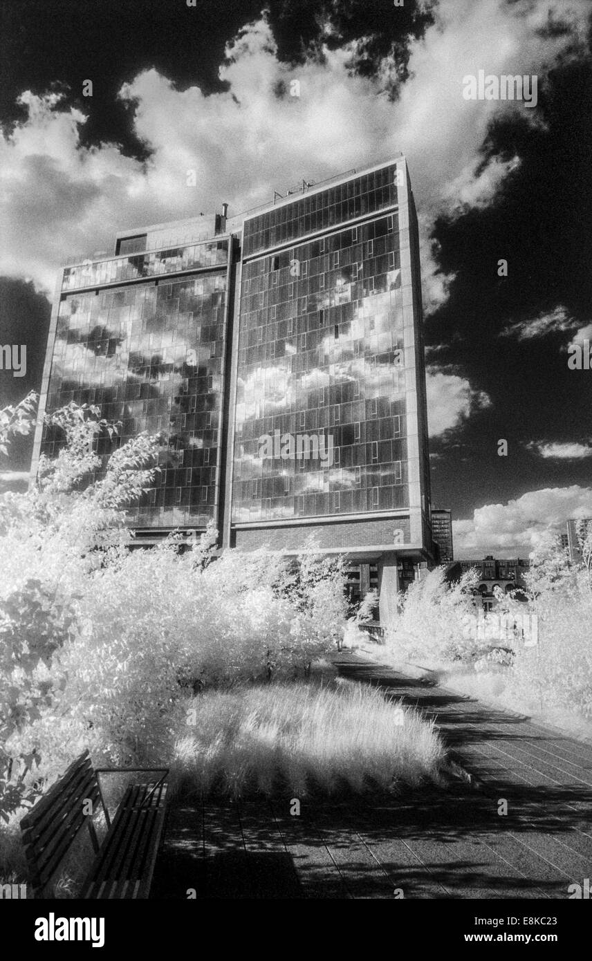 L'hôtel standard et le parc High Line photographié sur Kodak film infrarouge, New York City / © Craig M. Eisenberg Banque D'Images