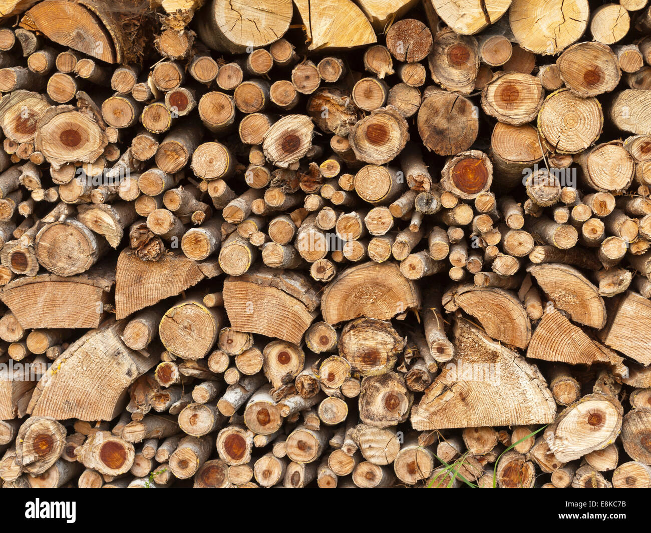 Pile de bois dans beaucoup de différentes formes et tailles Banque D'Images