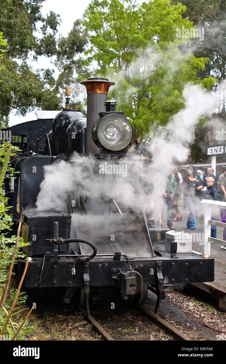 Puffing Billy Railway, train à vapeur, Yarra Valley, Australie Banque D'Images