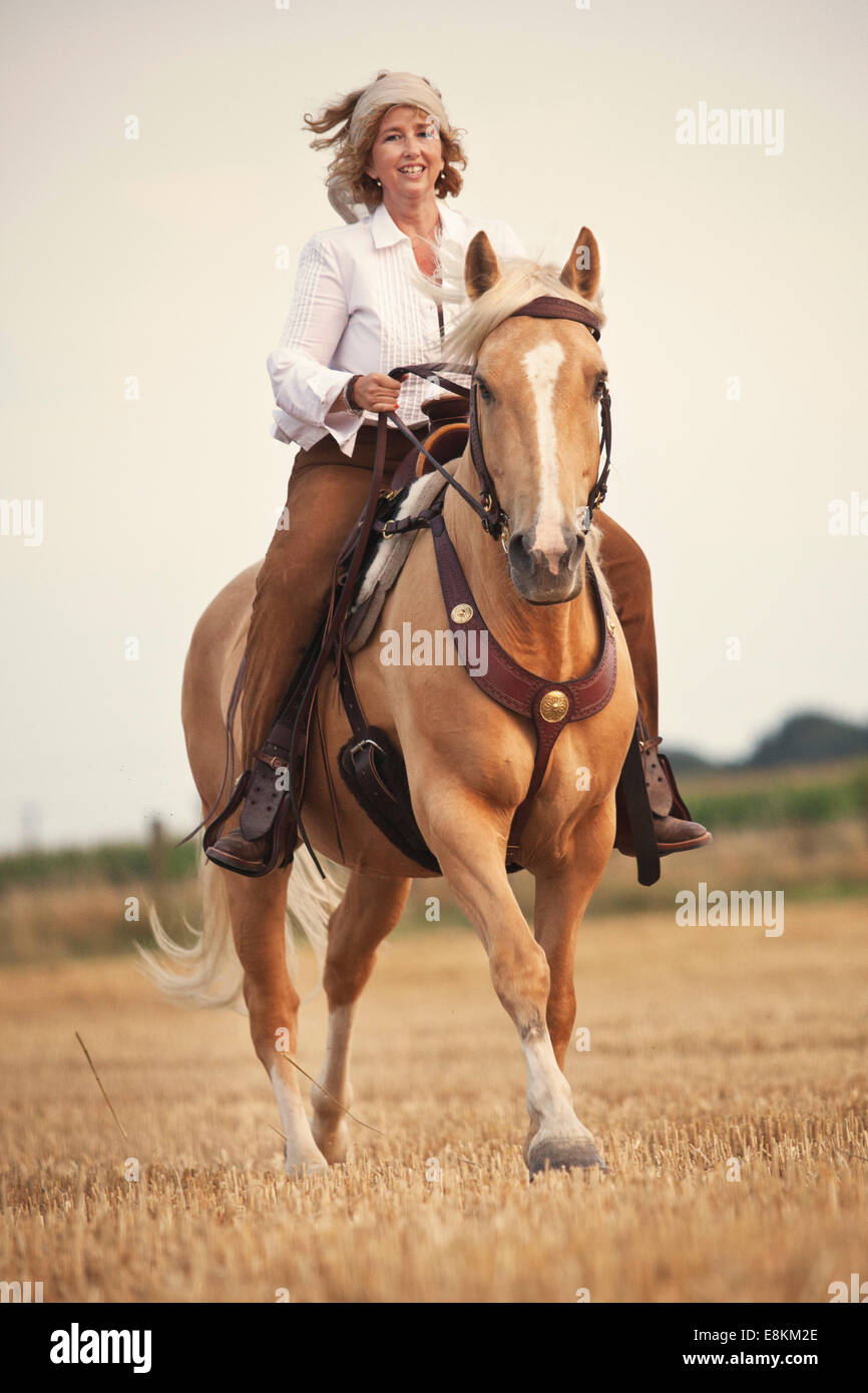 Rider sur l'Ouest, Criollo hongre Palomino avec blaze, gallopping, sur un champ de chaumes Banque D'Images
